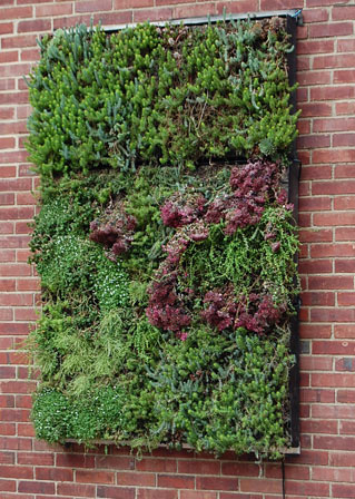 Green Wall
