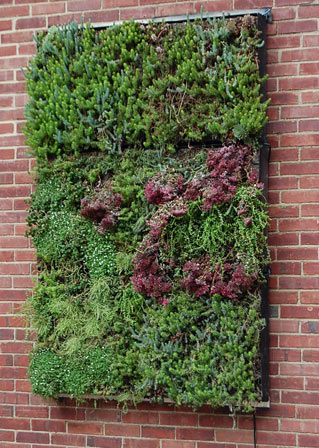 Green Wall